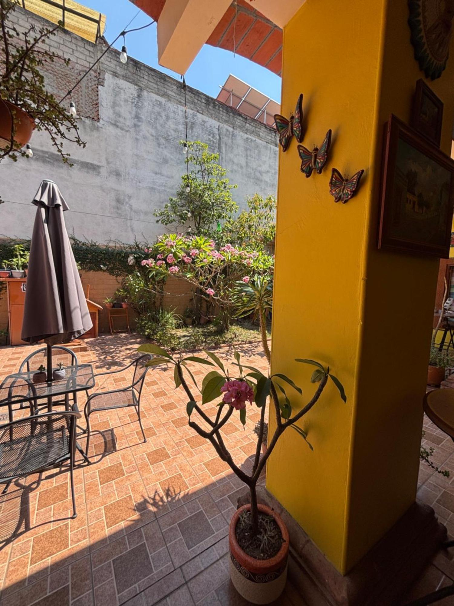 Hotel Posada "Mi Rosita" Oaxaca Exteriör bild